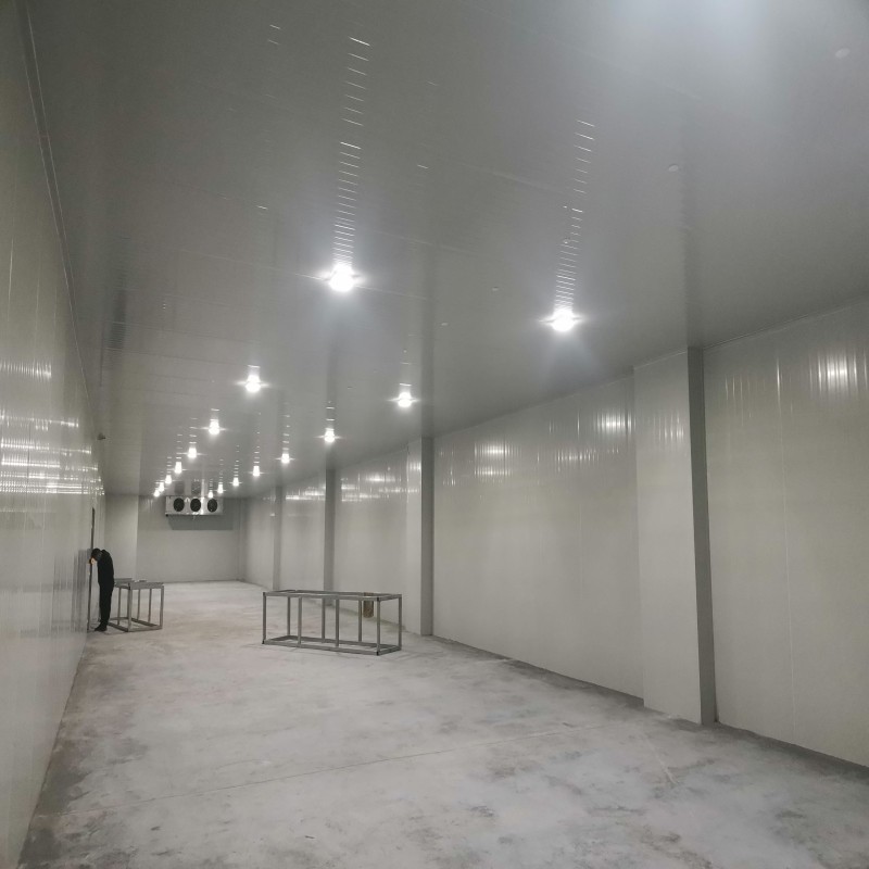 微信圖片_20240110161847_副本