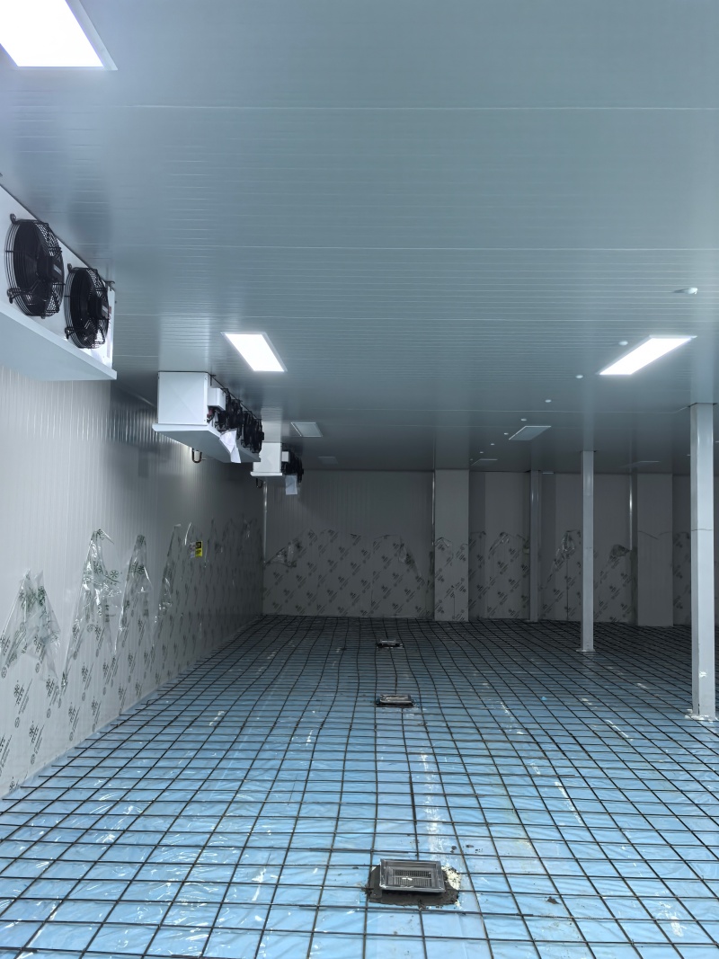 微信圖片_20260409093323_146_263_副本