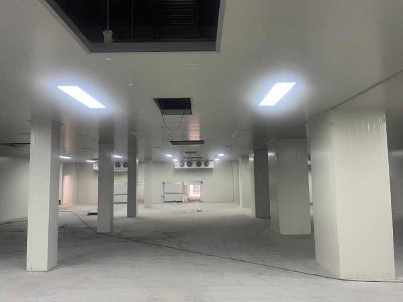 微信圖片_20260424101159_157_194_副本